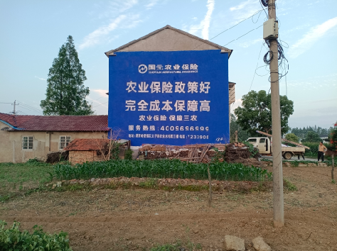 安义墙体广告的优劣势你知道吗？